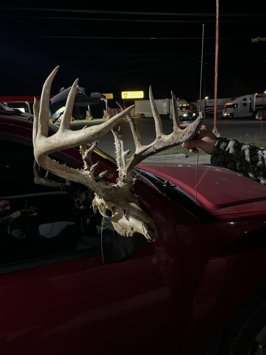 Buckmasters Nation tweet media