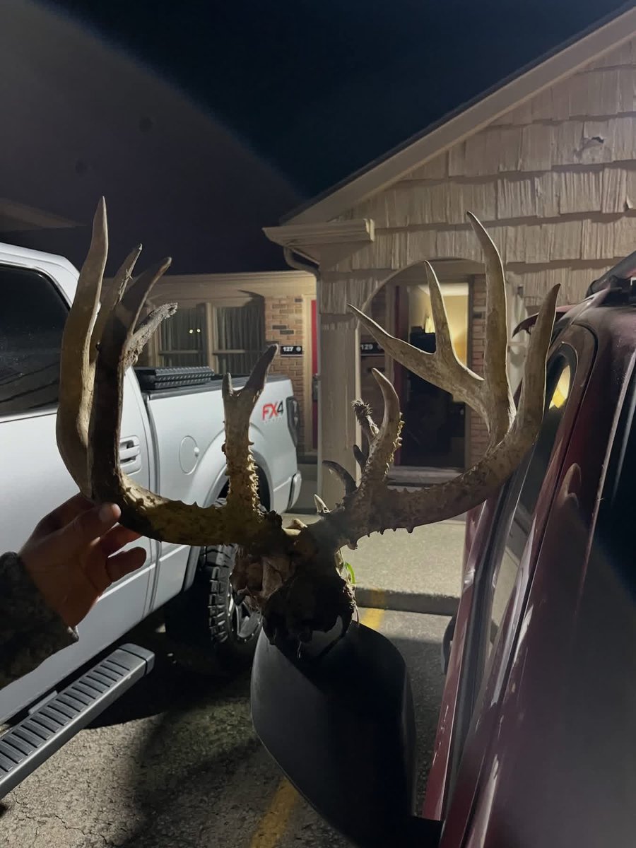 Buckmasters Nation tweet media