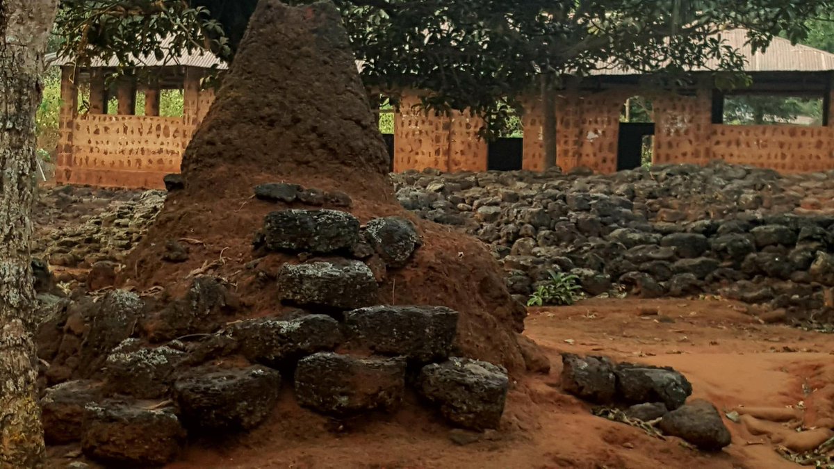 Vivian Ifeoma tweet media