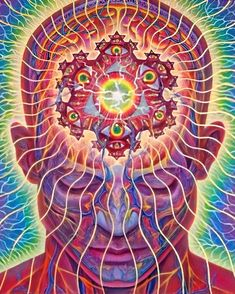 Bruxelles tweet media