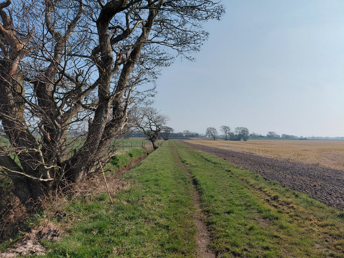 Jimmy UK Veteran ⬅️🟩🇬🇧 tweet media