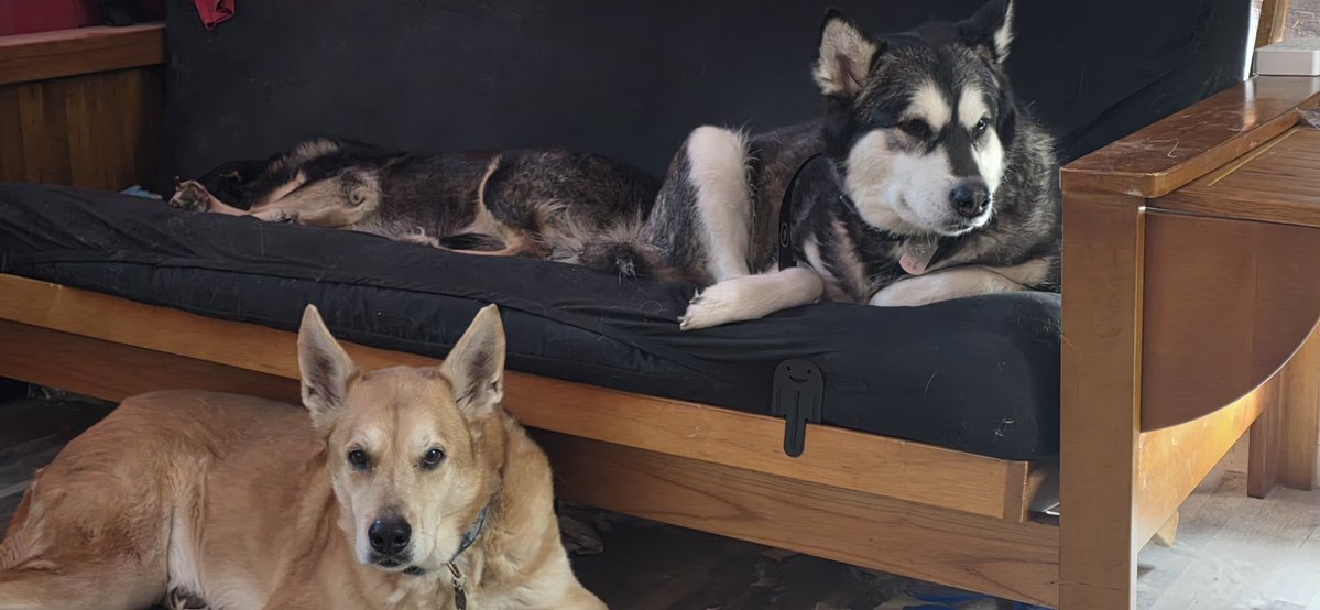 sᴉʇɔoN tweet media