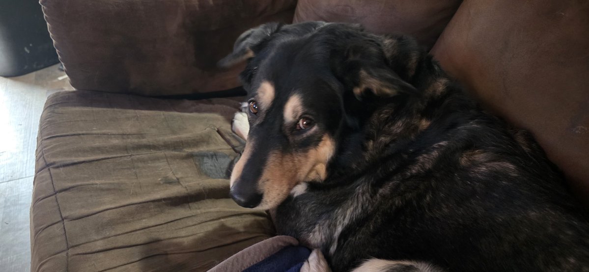 sᴉʇɔoN tweet media