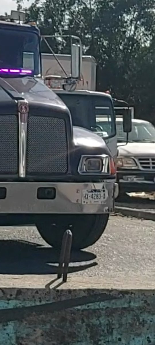 El Minino tweet media