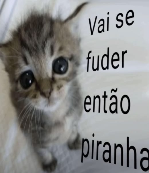 susgovbr's tweet photo. https://t.co/kpwJzqPchW