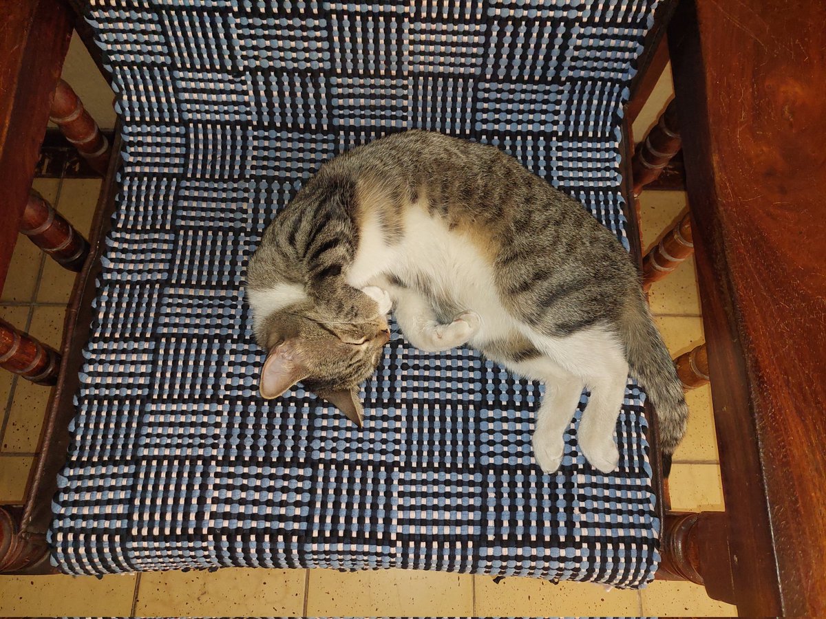 Felicia Hardy-Hanma tweet media