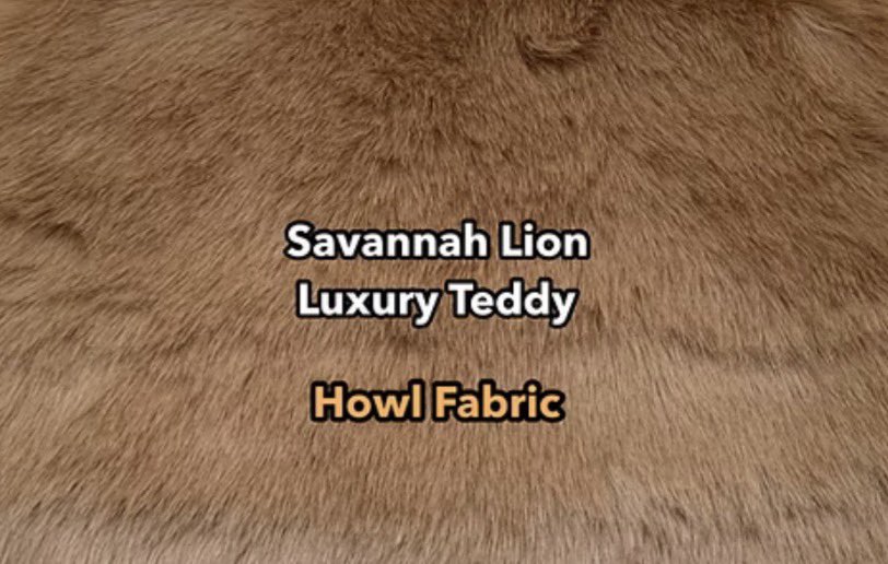 Magic Mage-y 🔜 ANW tweet media