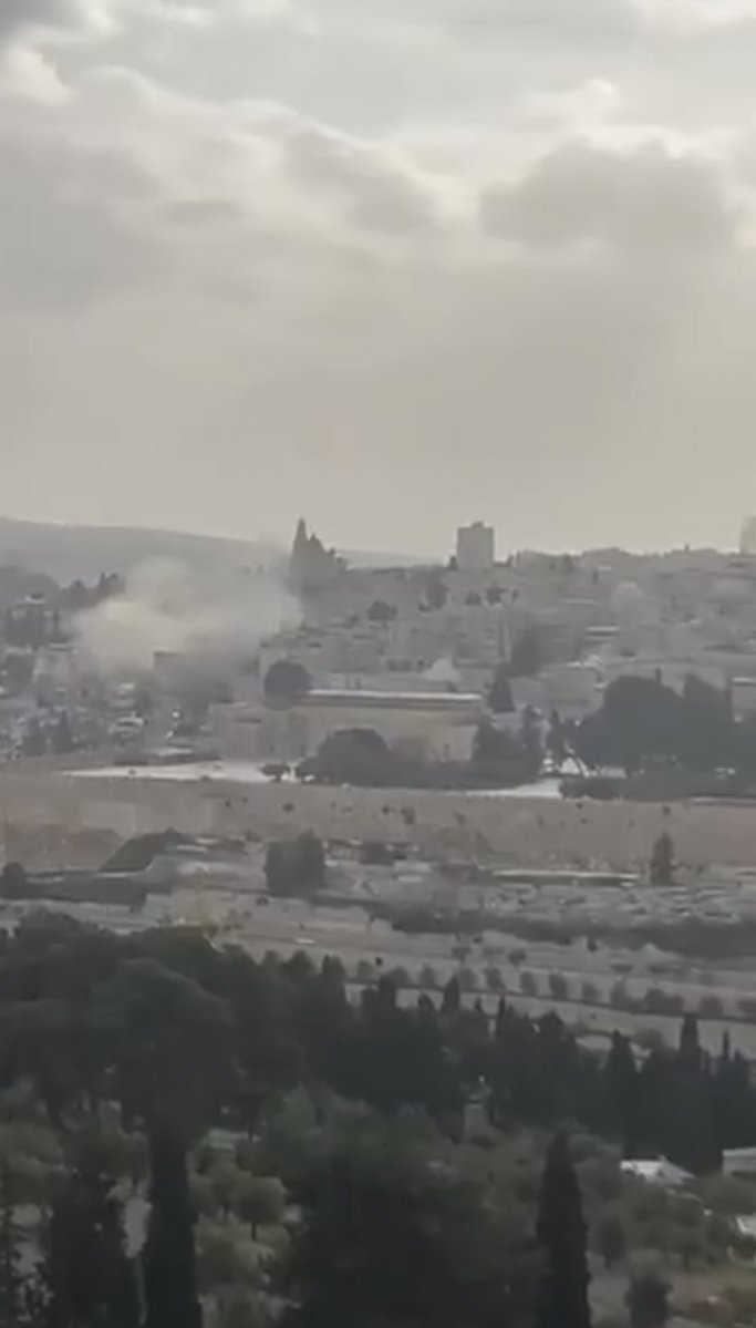 تمرة • tmrrah tweet media