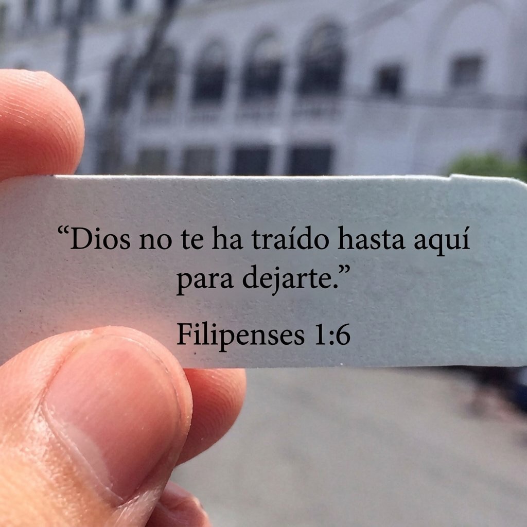 DiosUneSusHijos's tweet photo. https://t.co/deV1Gf4rv1
