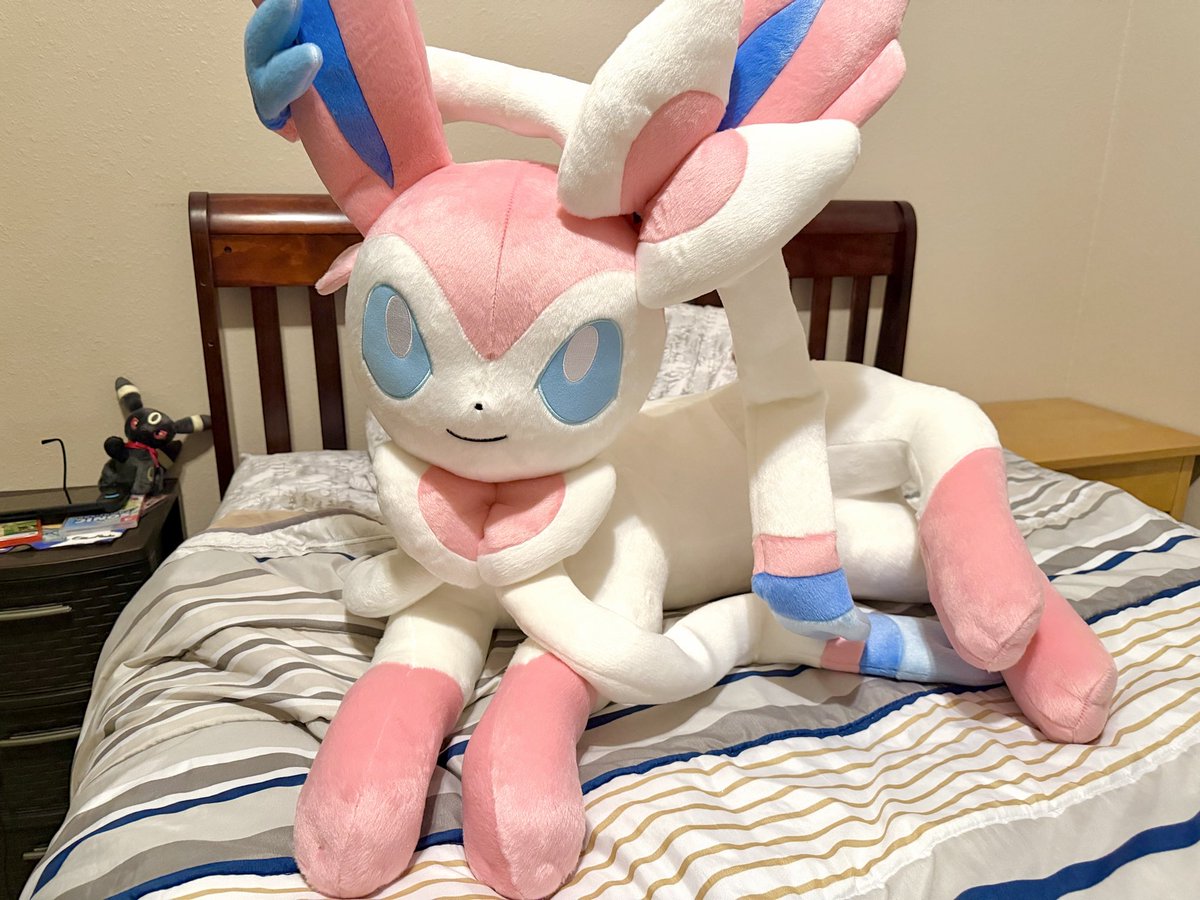 シンダリッテン tweet media