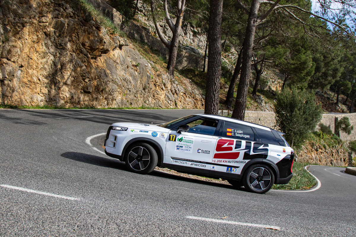 CEEA_RFEDA tweet media