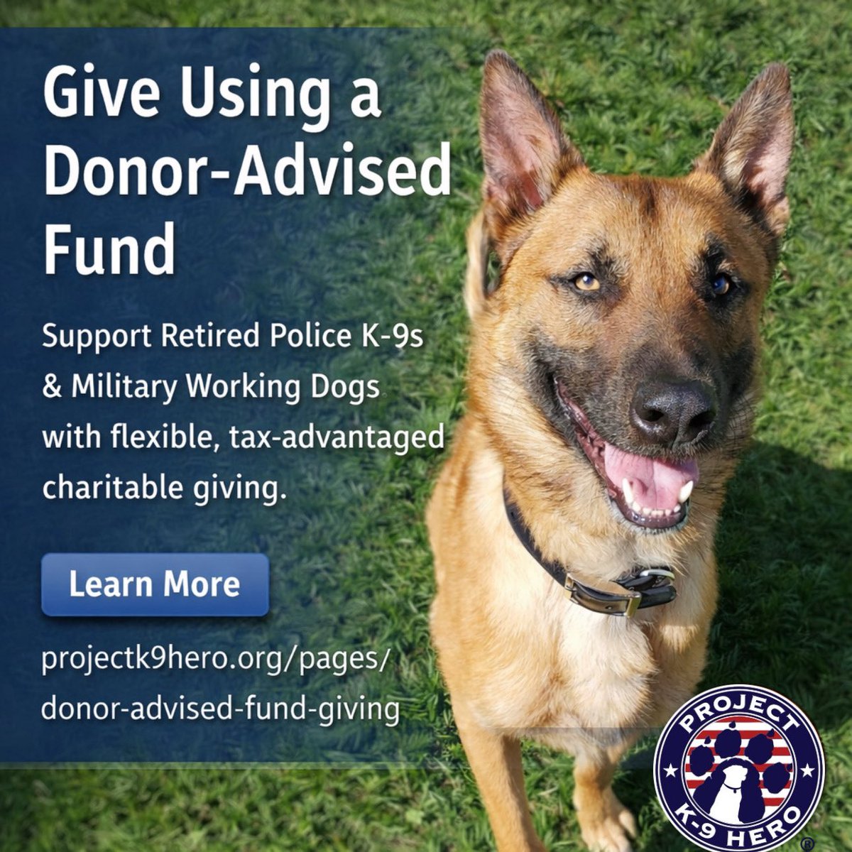 Project K9 Hero tweet media