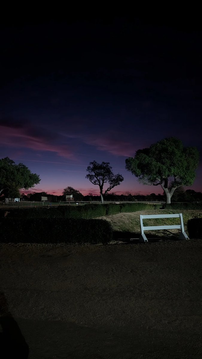 y'allternative tweet media