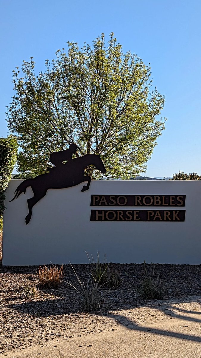 y'allternative tweet media