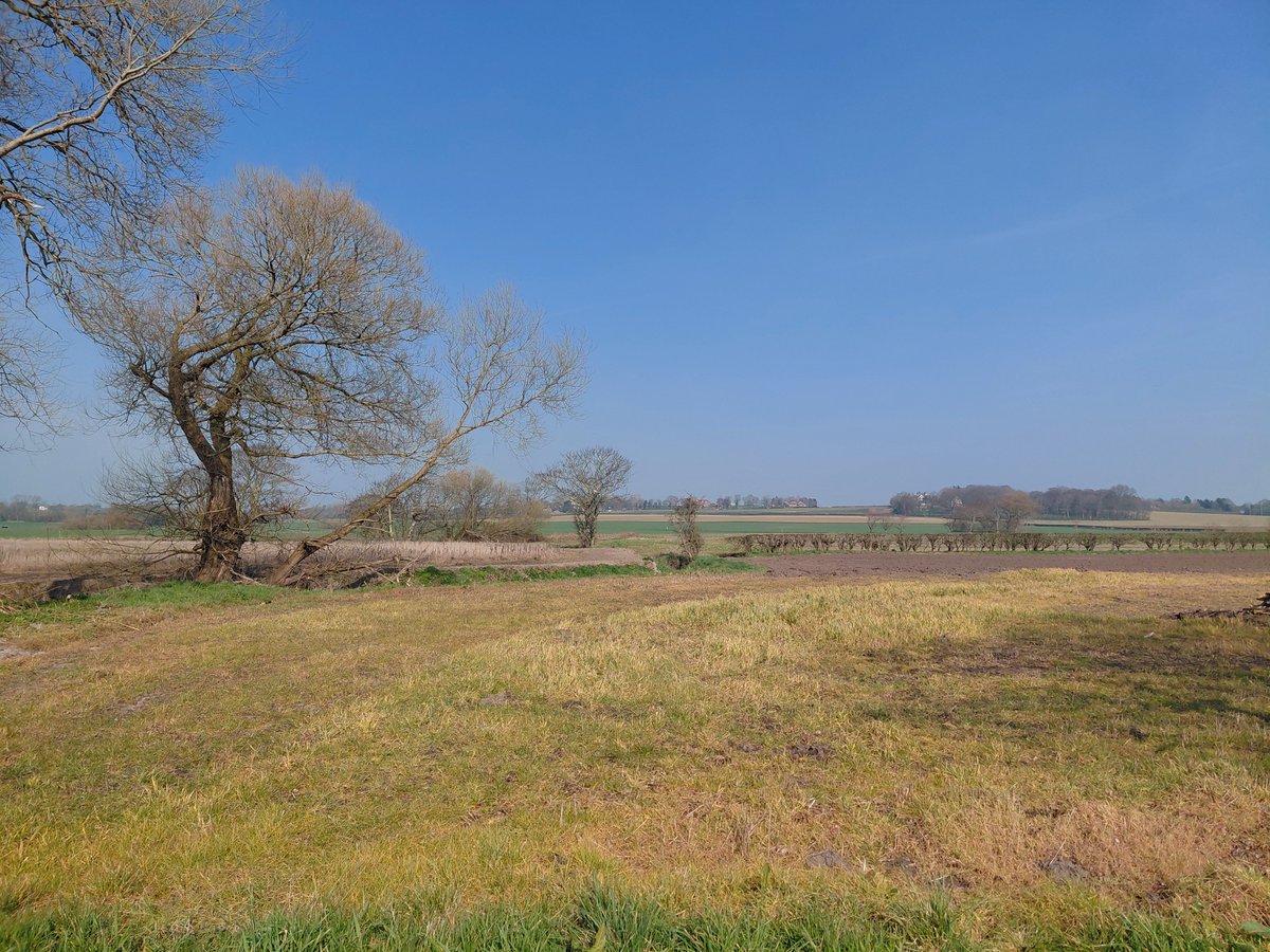 Jimmy UK Veteran ⬅️🟩🇬🇧 tweet media