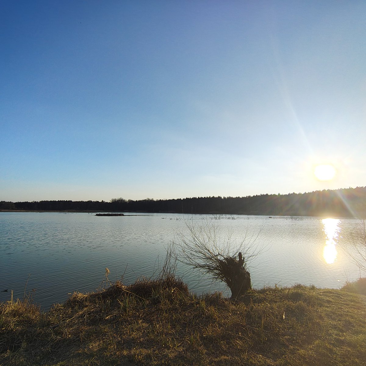 Kurwa Szkielet tweet media