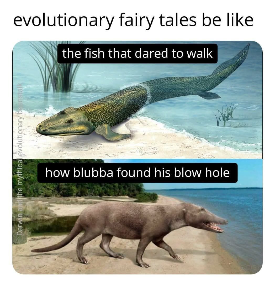 Not Evolution tweet media