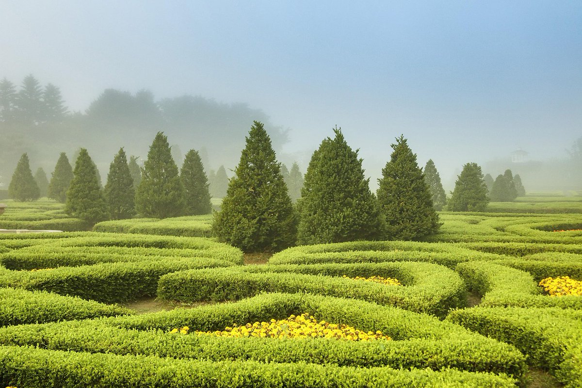 พริกไม่ได้แค่เผ็ด แต่เด็ดมาก🌶️💦 tweet media