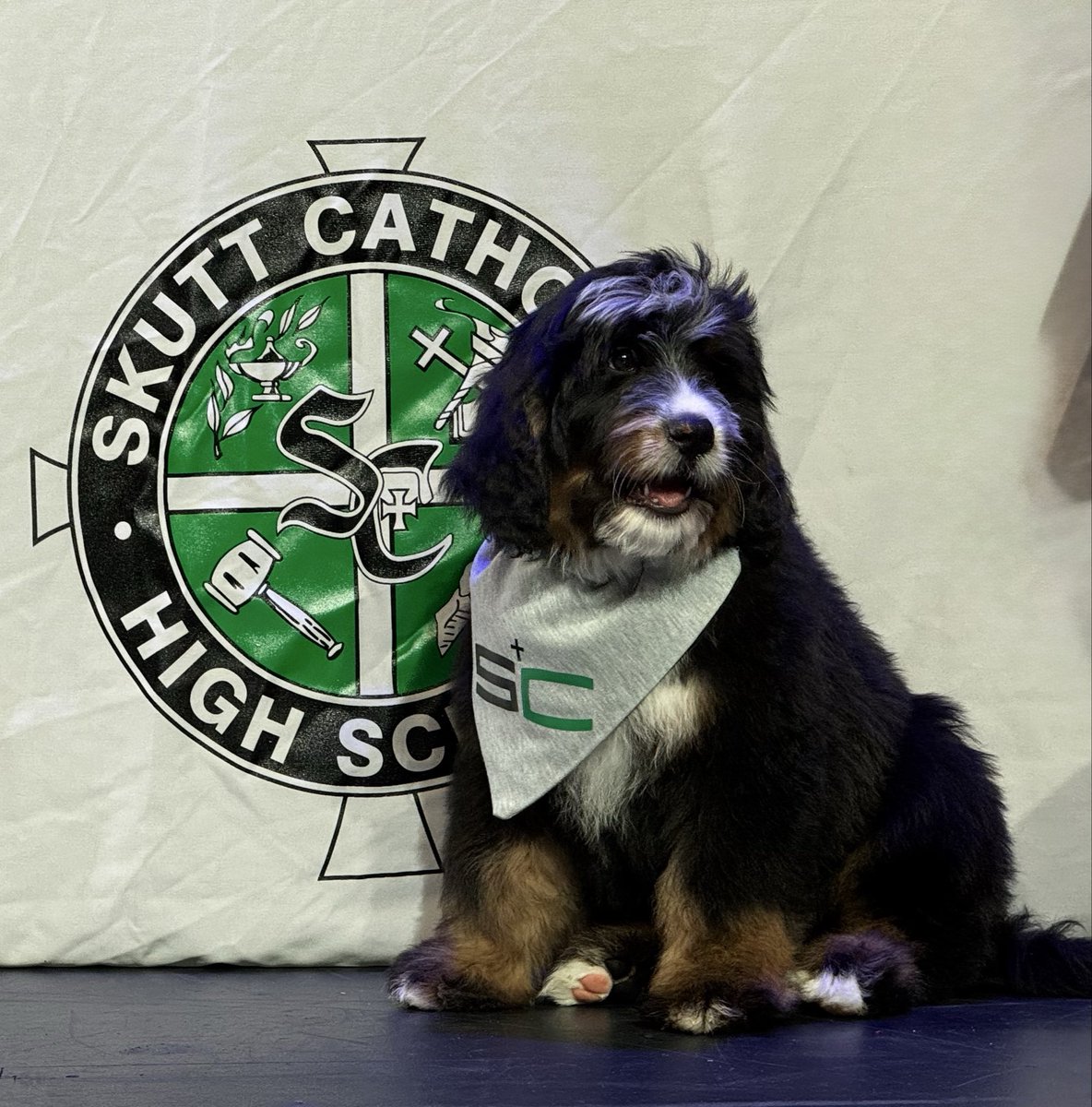 Skutt Catholic tweet media