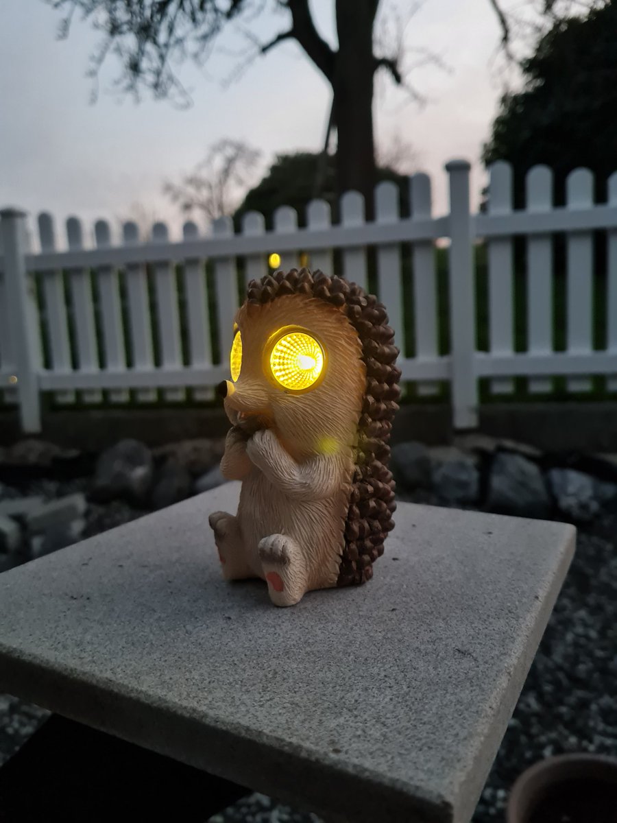 The Profile formerly known as Memorial-Stone tweet media