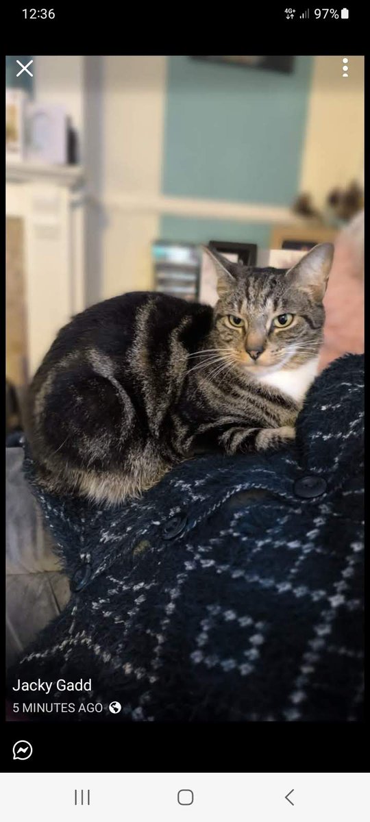 Mince Pie,Sprout and Toffee Apple tweet media