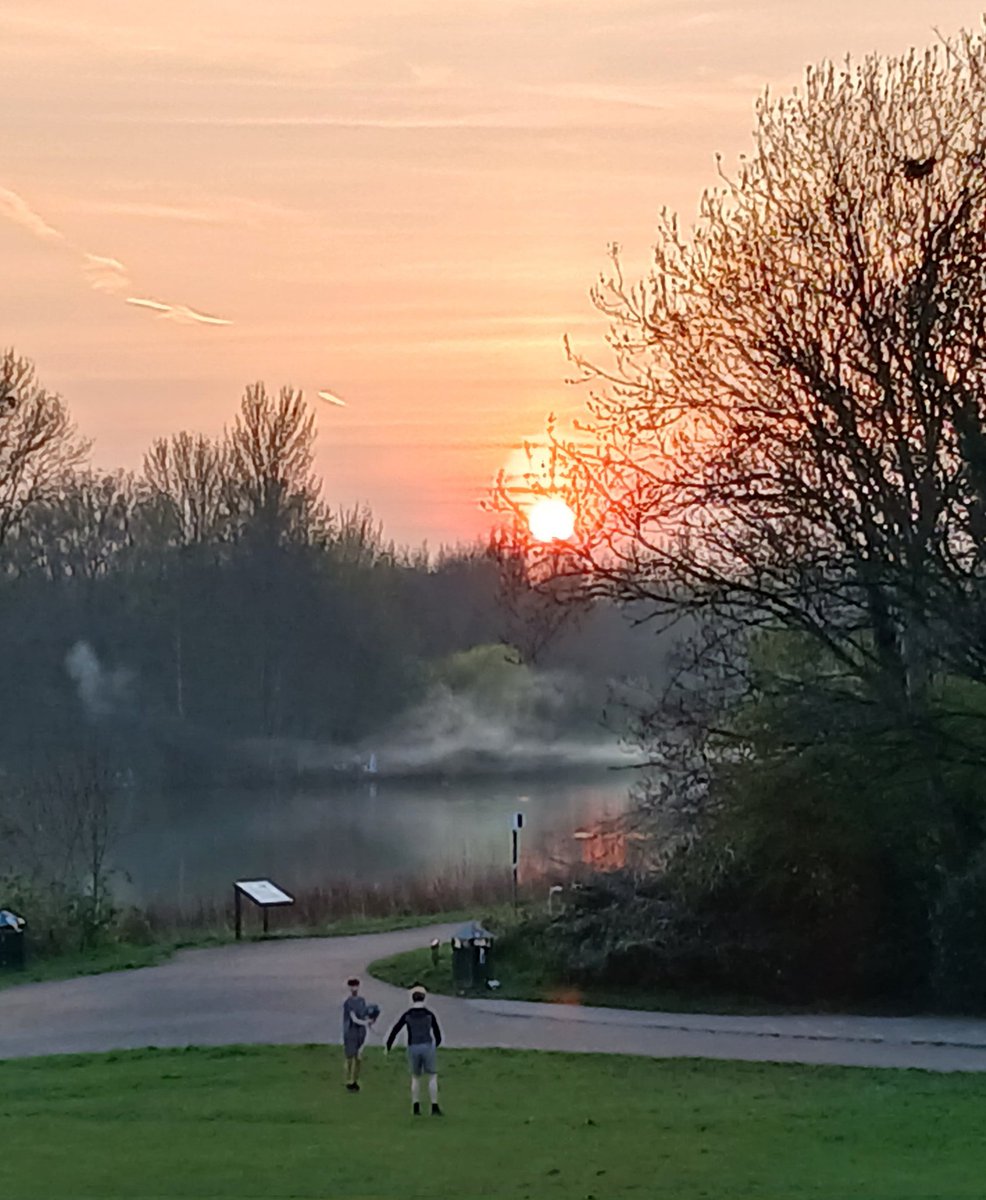 Alfred Searls tweet media