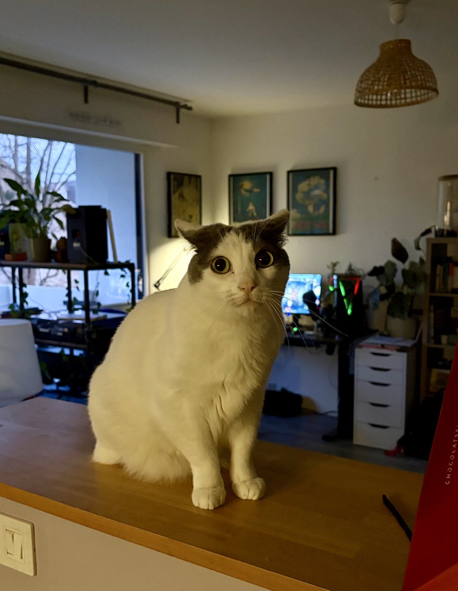 Snoop Fan Account 🍂 tweet media