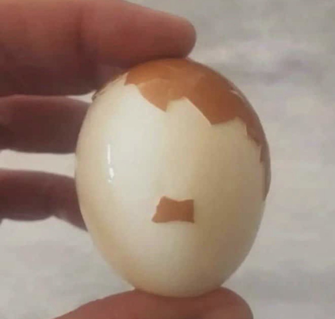 JohnnyMLavo tweet media