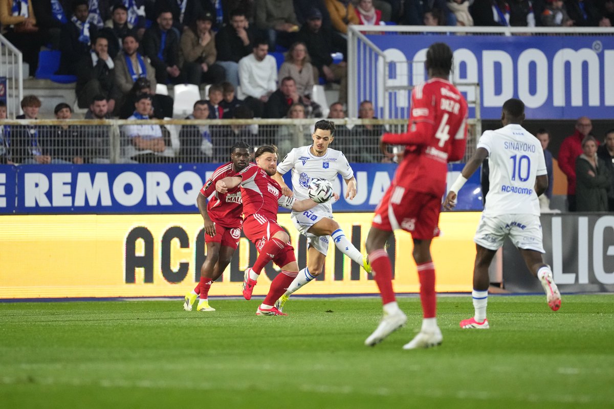 Stade Brestois 29 tweet media