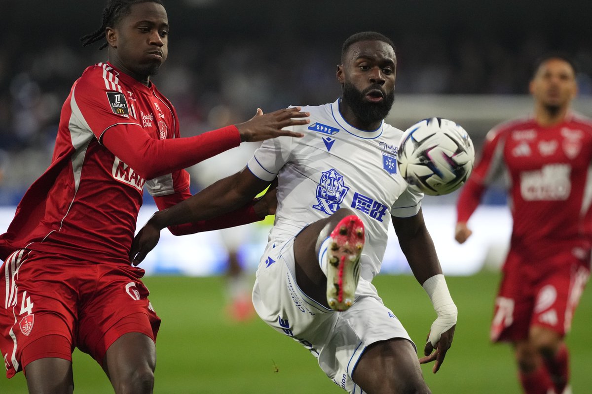 Stade Brestois 29 tweet media