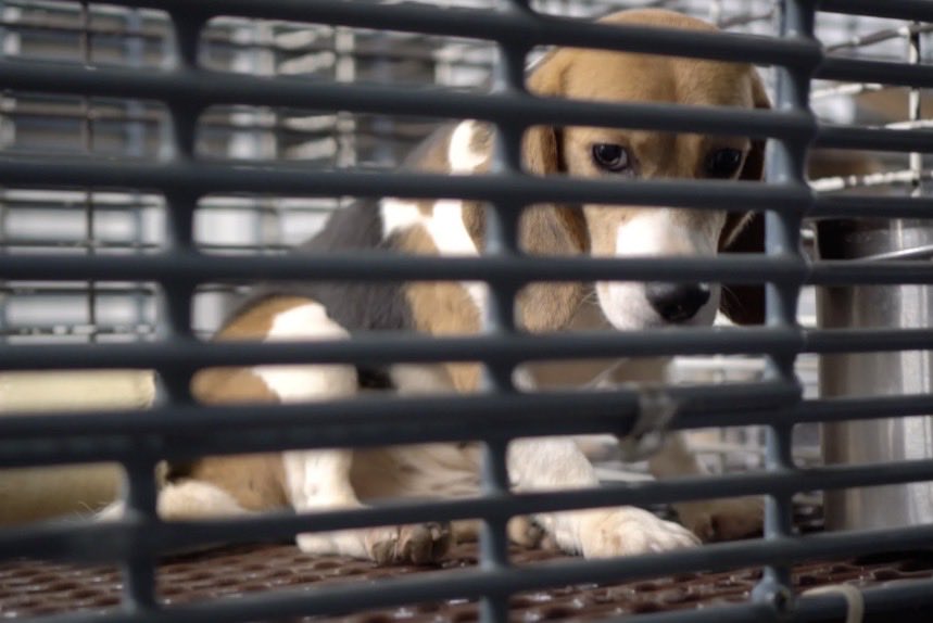 NothingIsArt tweet media