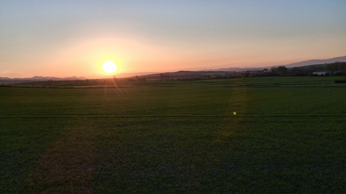 El ferroviario tweet media