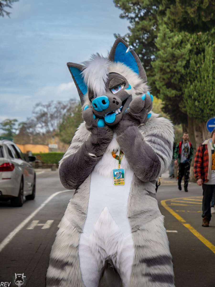 Rei 🔜 NFC, LVFC, Furizon tweet media