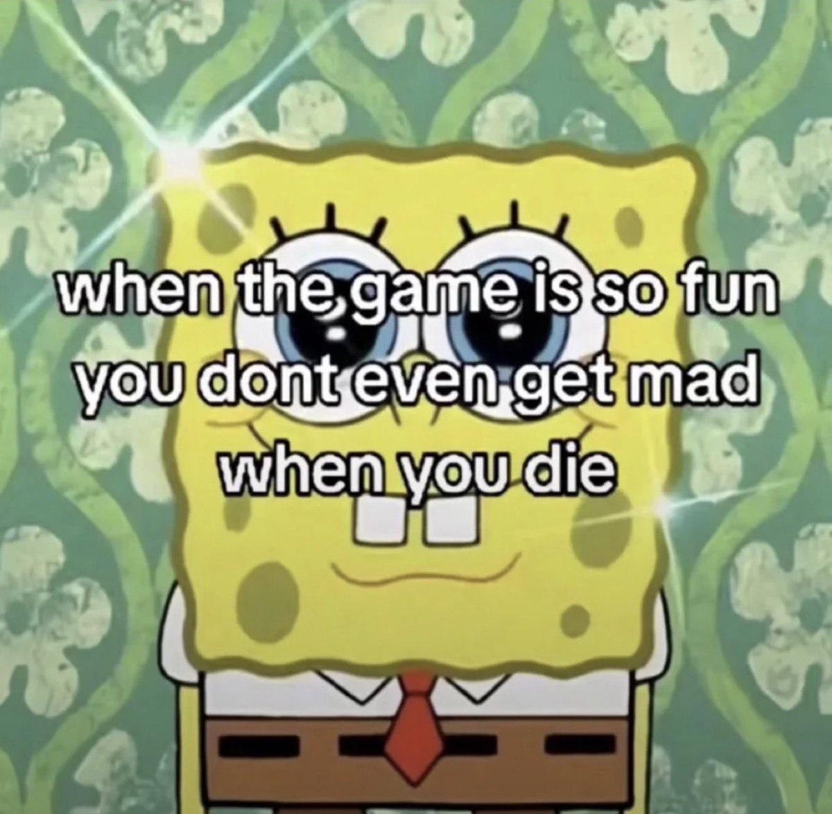 Rino🚀 tweet media