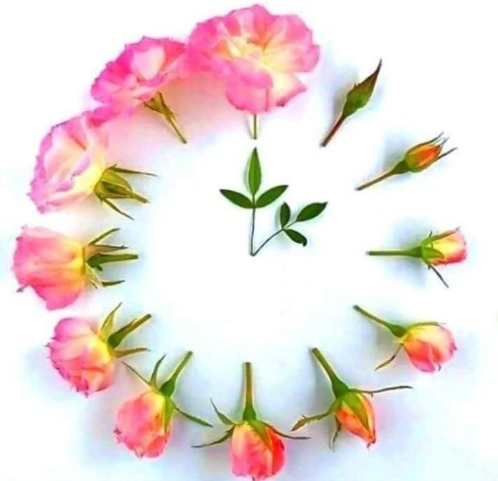 ROJBEYAN tweet media