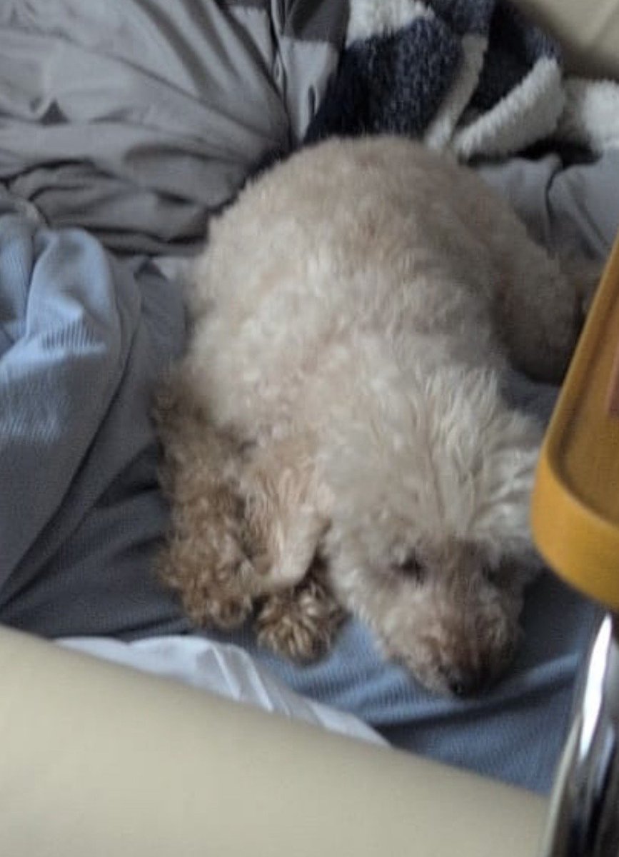 chris towers tweet media