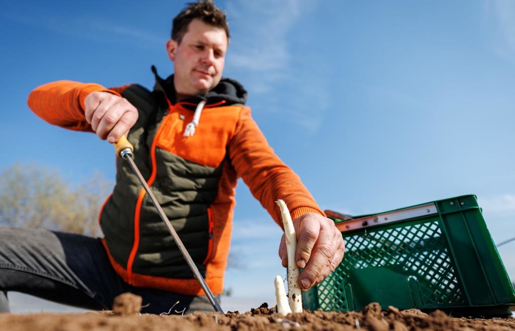 Passauer Neue Presse tweet media