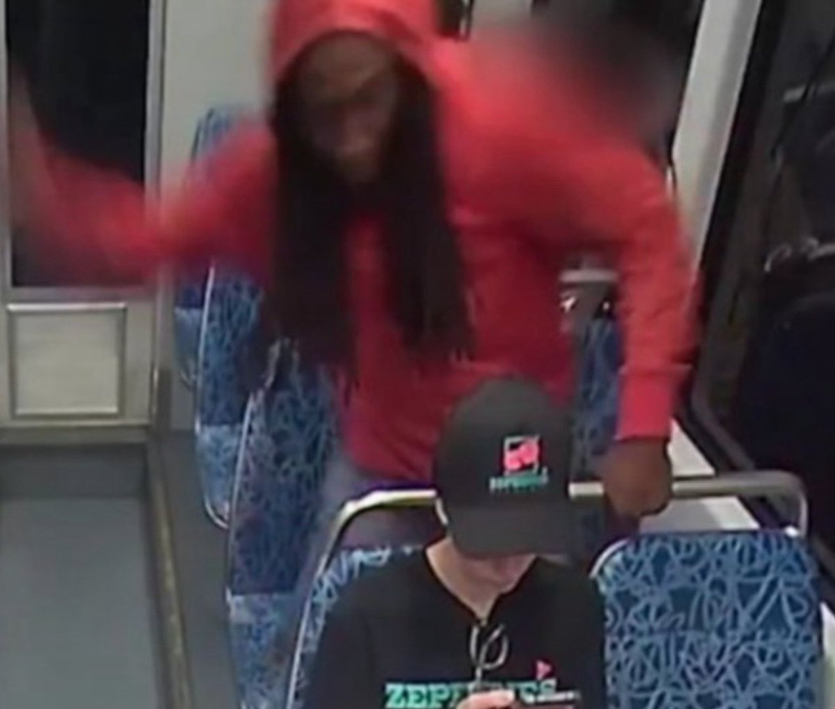 Catapiolta tweet media