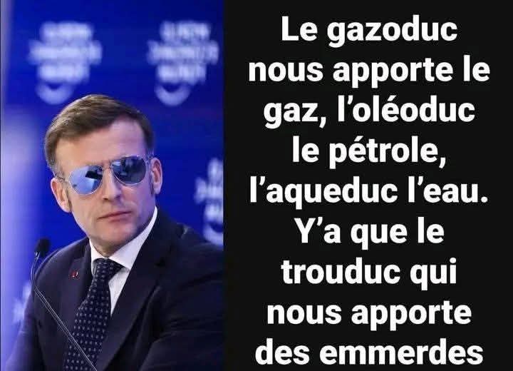 Noëlie la Lupa tweet media