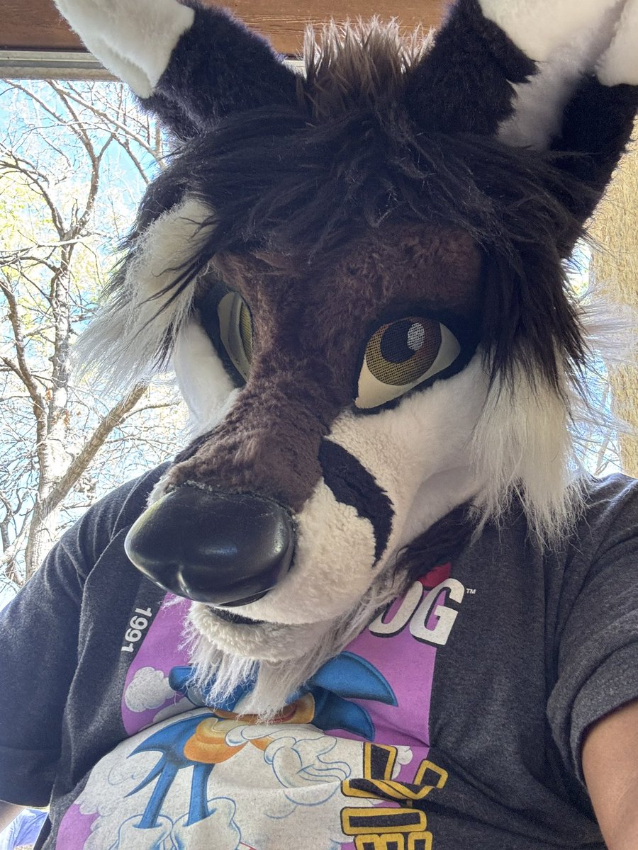 Fat Nerdy Fox. TFF/FWA tweet media