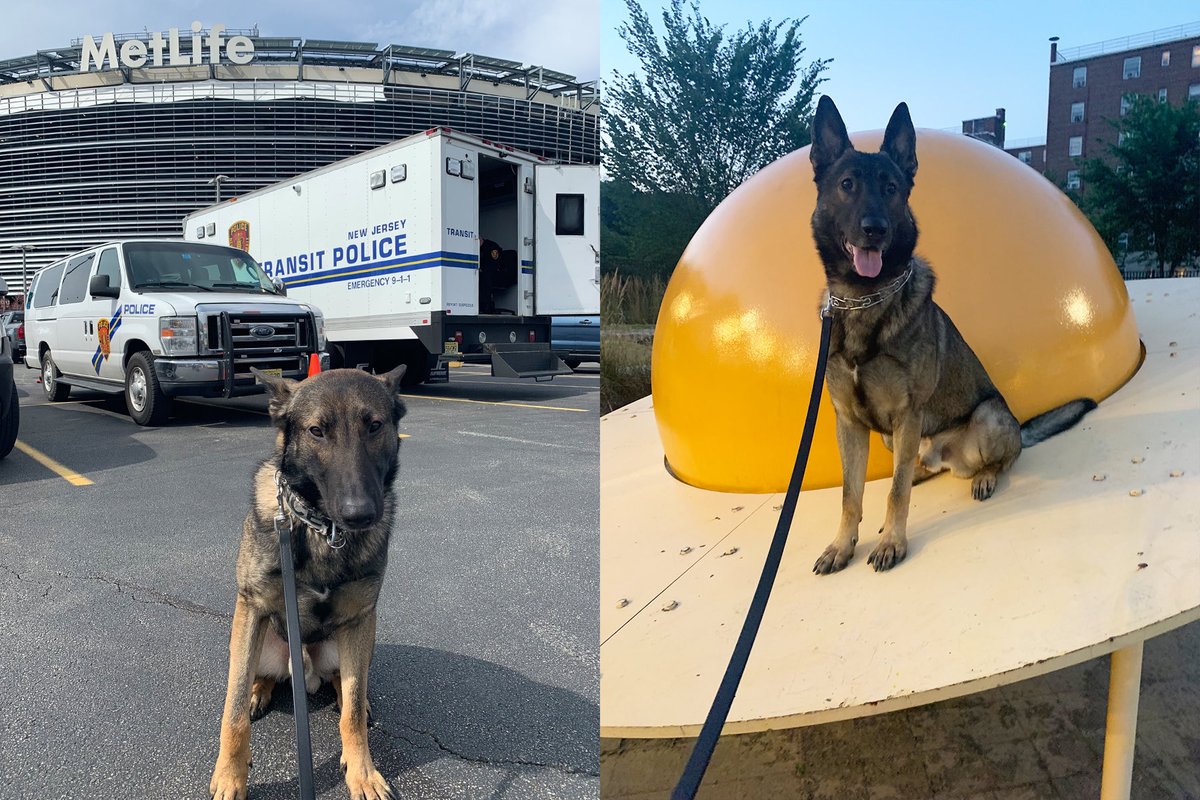 NJ TRANSIT POLICE tweet media