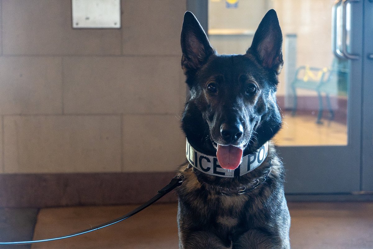 NJ TRANSIT POLICE tweet media