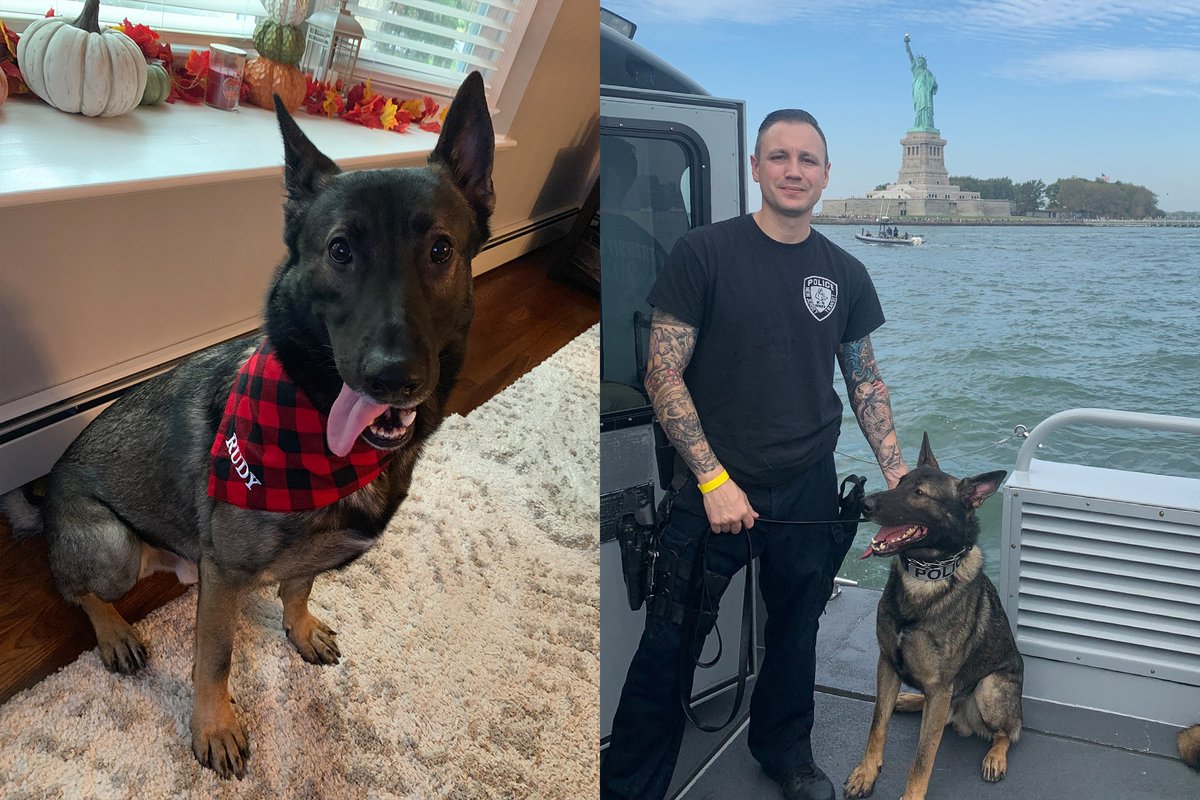 NJ TRANSIT POLICE tweet media