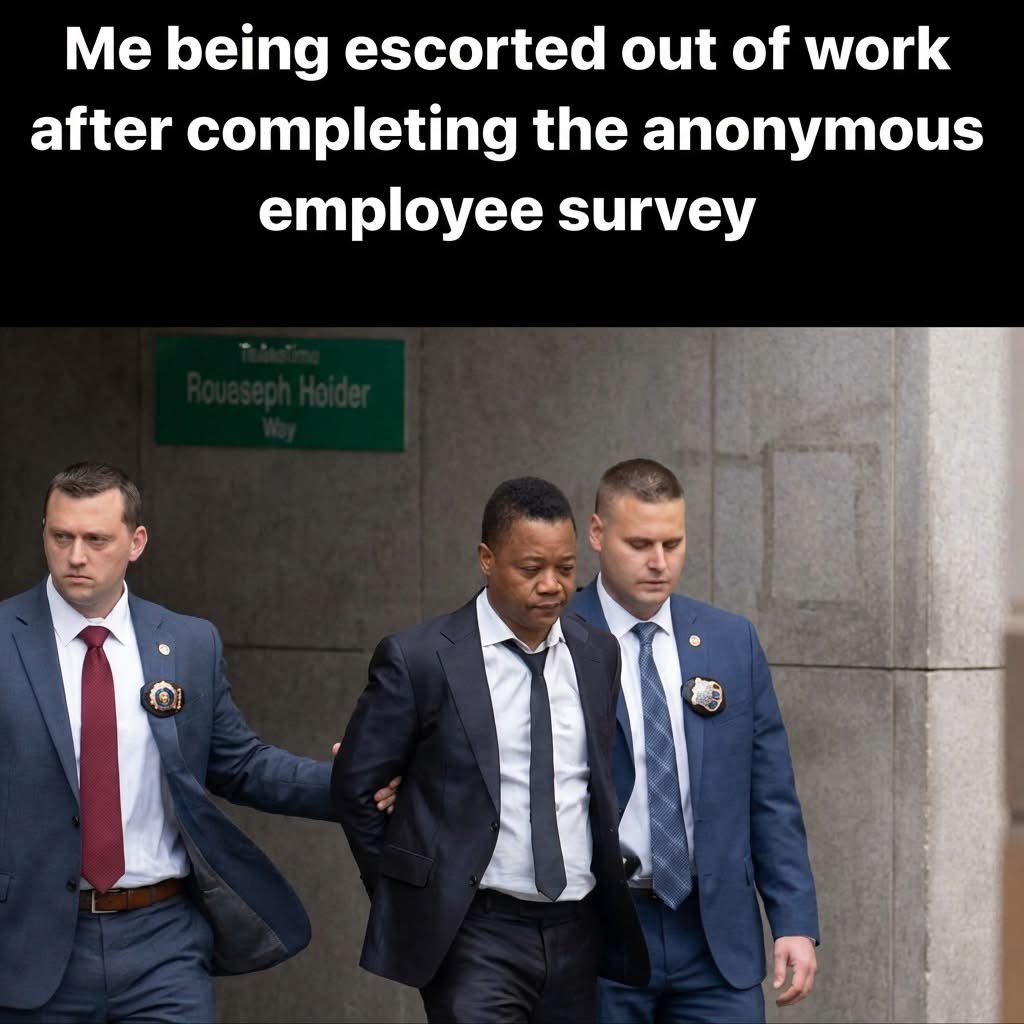 De straatloper van Hormuz 😁 tweet media