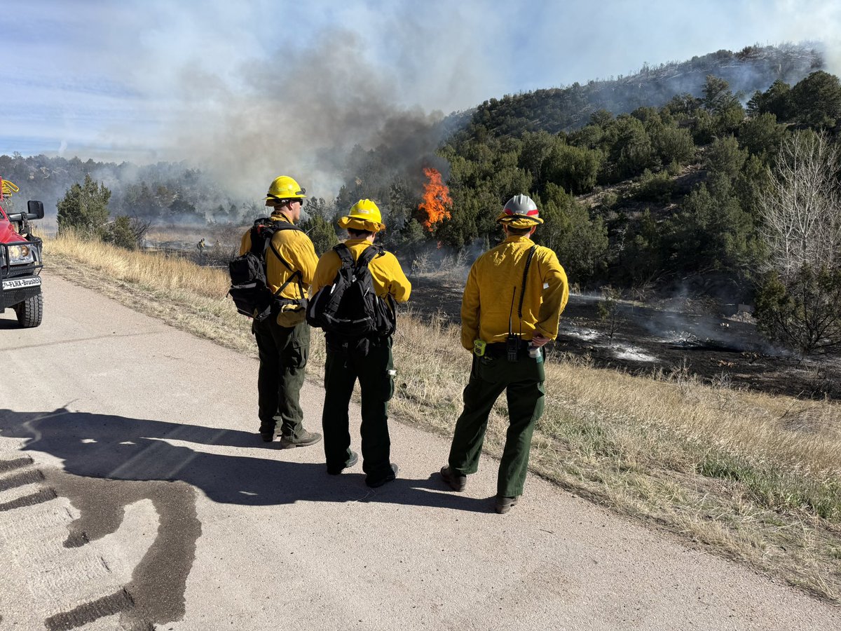 Colorado Springs Fire Department tweet media
