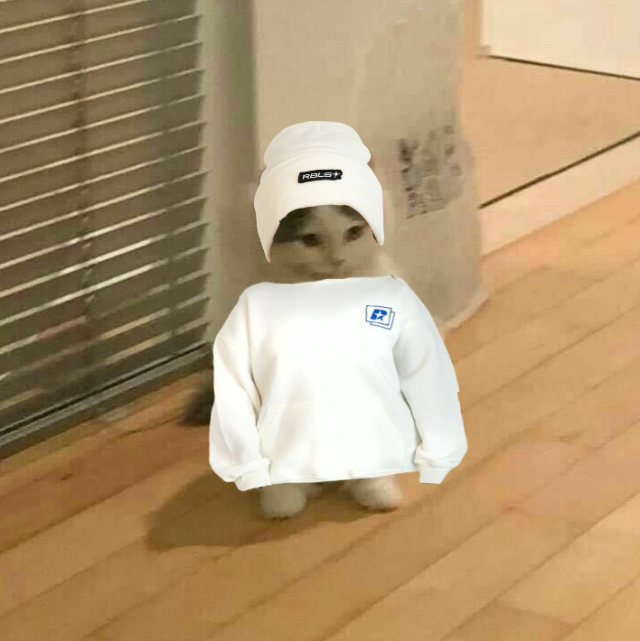 antitu 🧸 tweet media