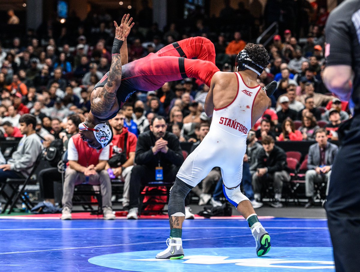 Tony Rotundo tweet media