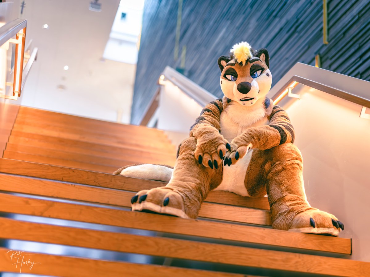 Kyo, but Fluffy 🔜 LVFC, FWA tweet media