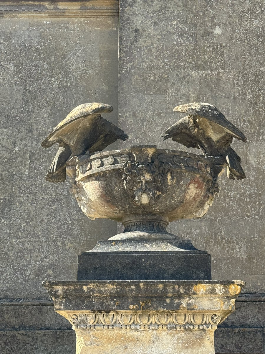 Dawn Williams tweet media