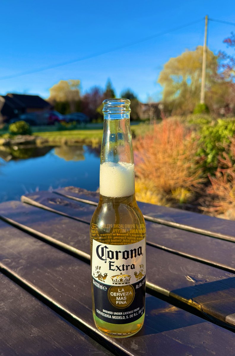 FPL Focal tweet media